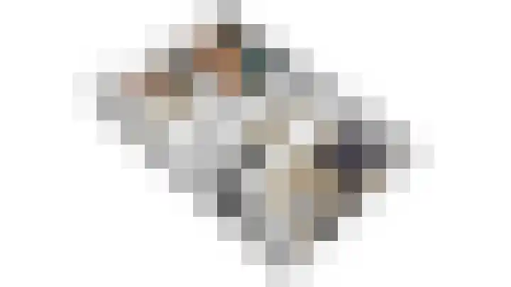 Roggemounewei 35 Burgum thumbnail 30