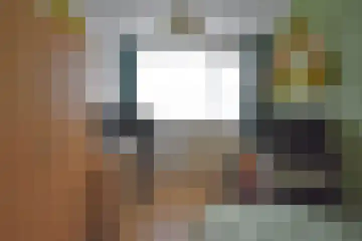 Roggemounewei 35 Burgum thumbnail 33