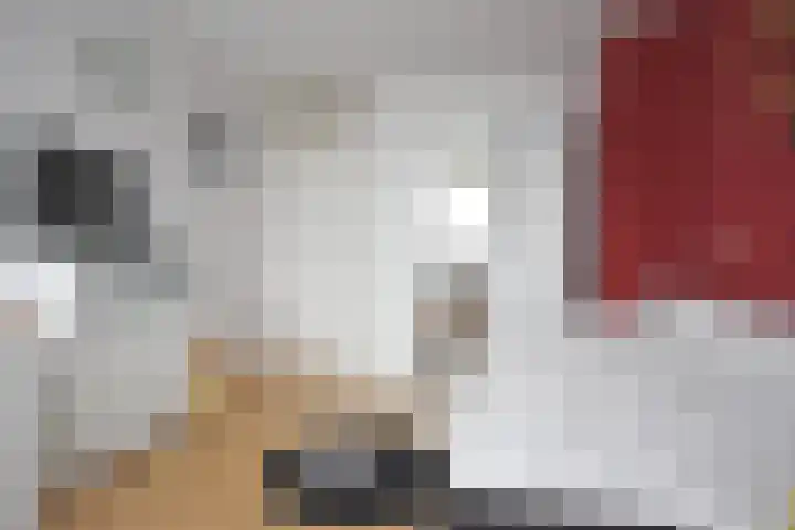 Roggemounewei 35 Burgum thumbnail 37