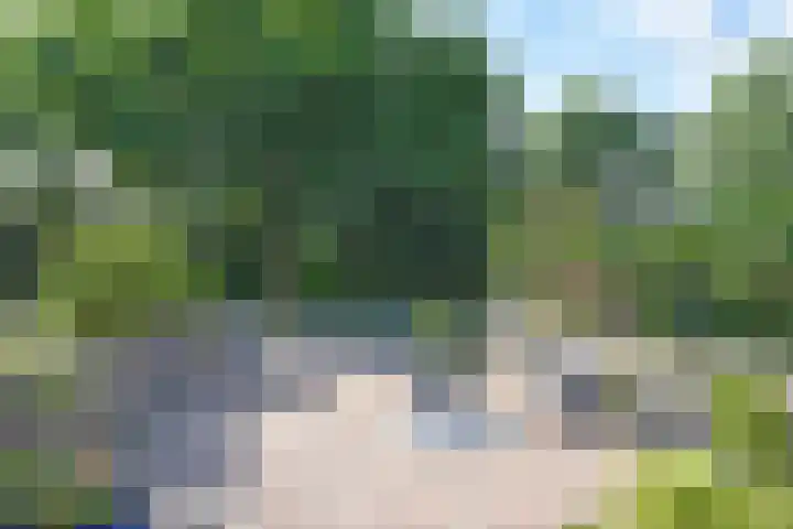 Roggemounewei 35 Burgum thumbnail 4