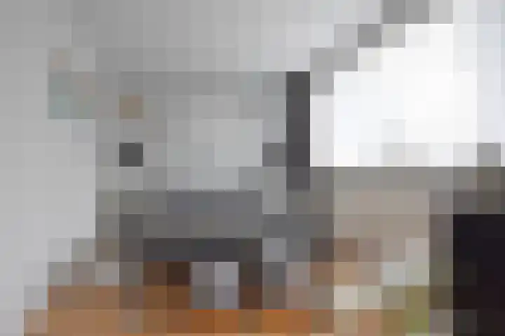 Roggemounewei 35 Burgum thumbnail 40