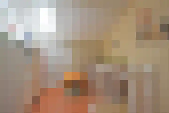 Roggemounewei 35 Burgum thumbnail 46