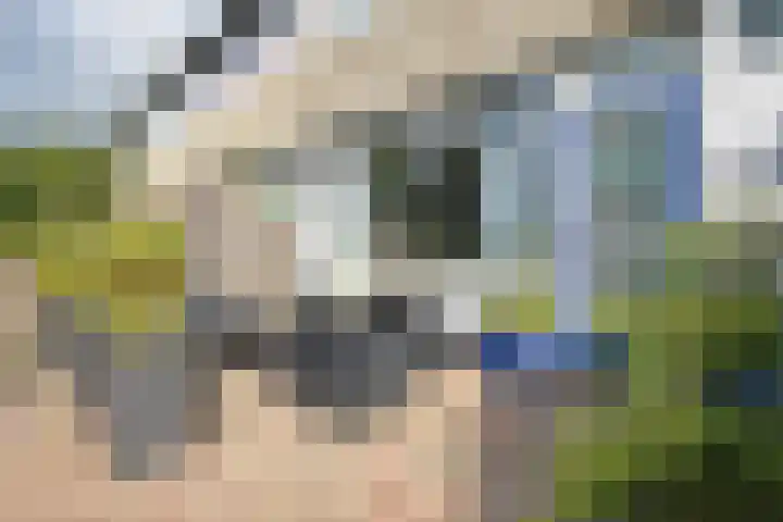 Roggemounewei 35 Burgum thumbnail 5