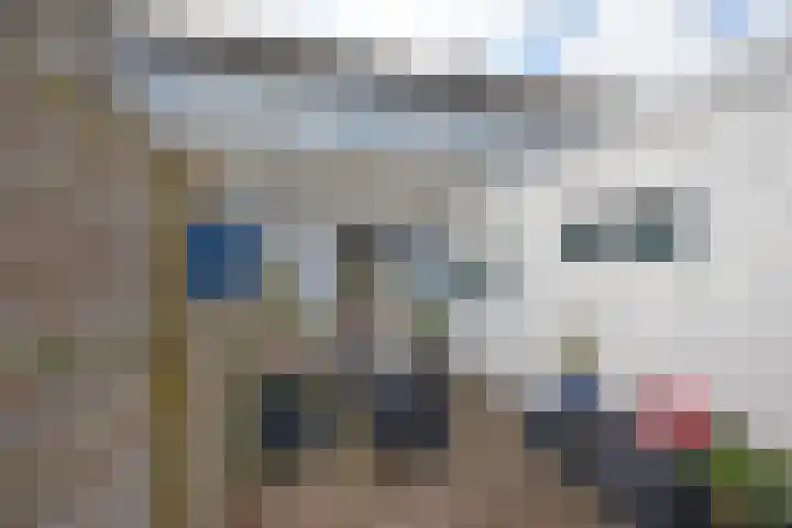Roggemounewei 35 Burgum thumbnail 6