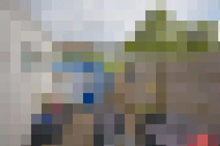 Roggemounewei 35 Burgum thumbnail 8