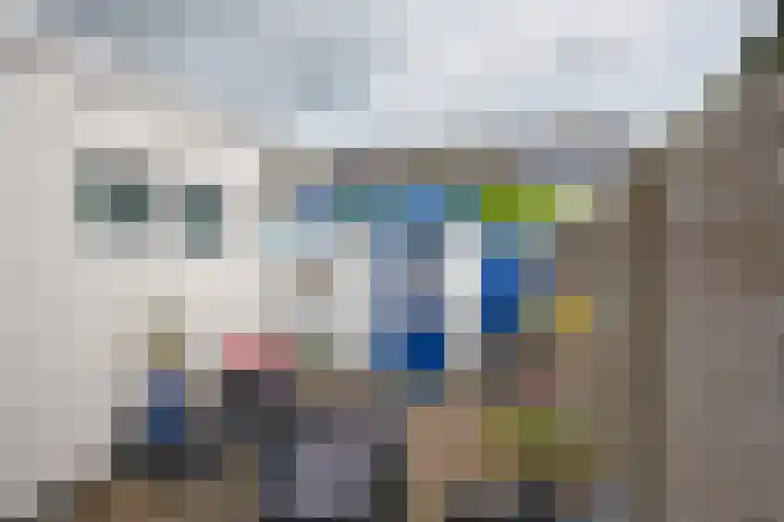 Roggemounewei 35 Burgum thumbnail 9