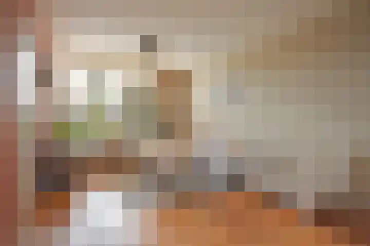 Roggemounewei 51 Burgum thumbnail 12