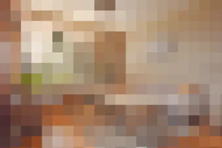 Roggemounewei 51 Burgum thumbnail 13