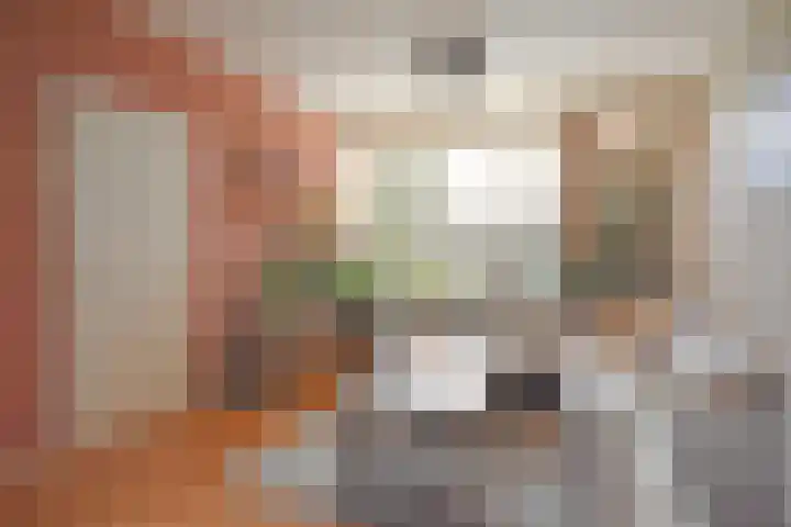 Roggemounewei 51 Burgum thumbnail 14