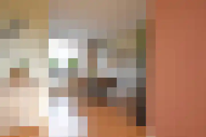 Roggemounewei 51 Burgum thumbnail 16