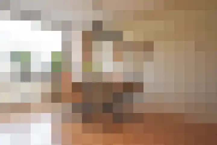 Roggemounewei 51 Burgum thumbnail 17