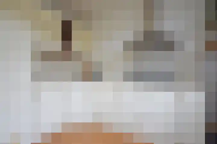 Roggemounewei 51 Burgum thumbnail 20