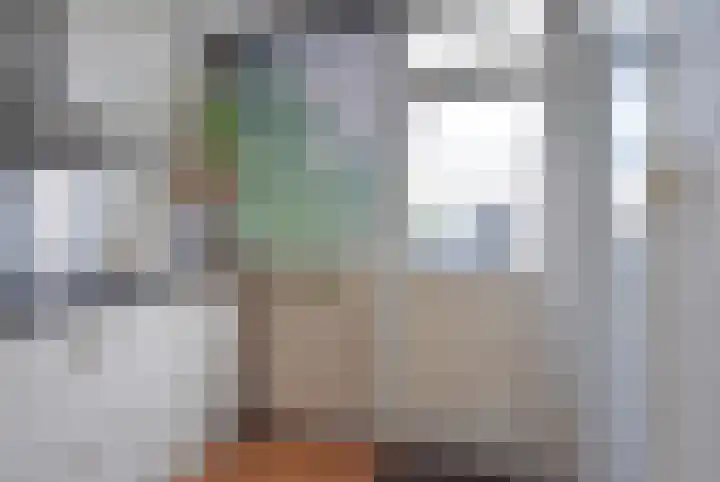 Roggemounewei 51 Burgum thumbnail 22