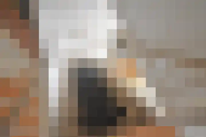 Roggemounewei 51 Burgum thumbnail 24