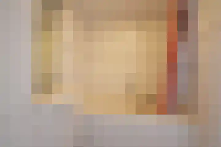 Roggemounewei 51 Burgum thumbnail 34