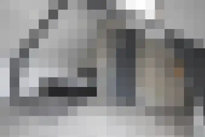 Roggemounewei 51 Burgum thumbnail 37