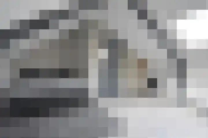 Roggemounewei 51 Burgum thumbnail 38