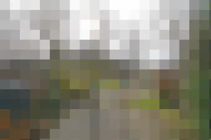 Roggemounewei 51 Burgum thumbnail 5