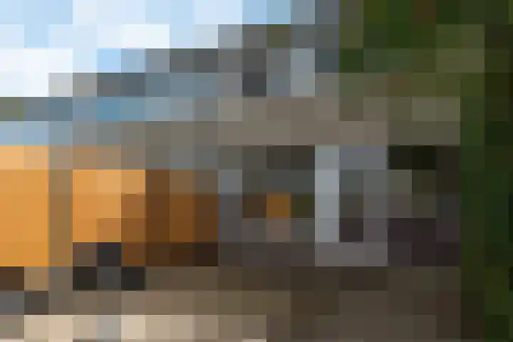 Roggemounewei 51 Burgum thumbnail 7