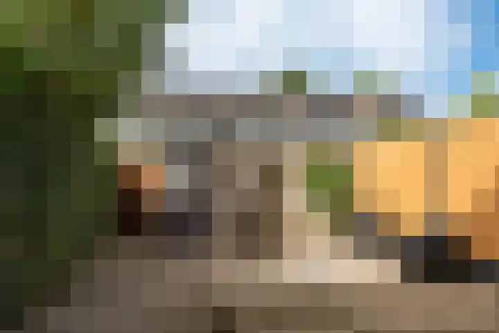 Roggemounewei 51 Burgum thumbnail 8