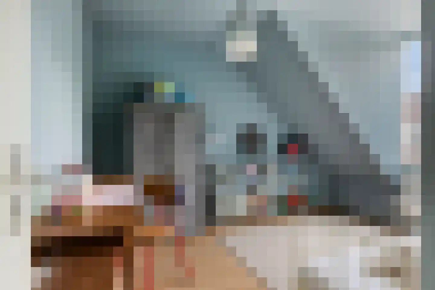 Roggenplaat 12 Zierikzee thumbnail 13