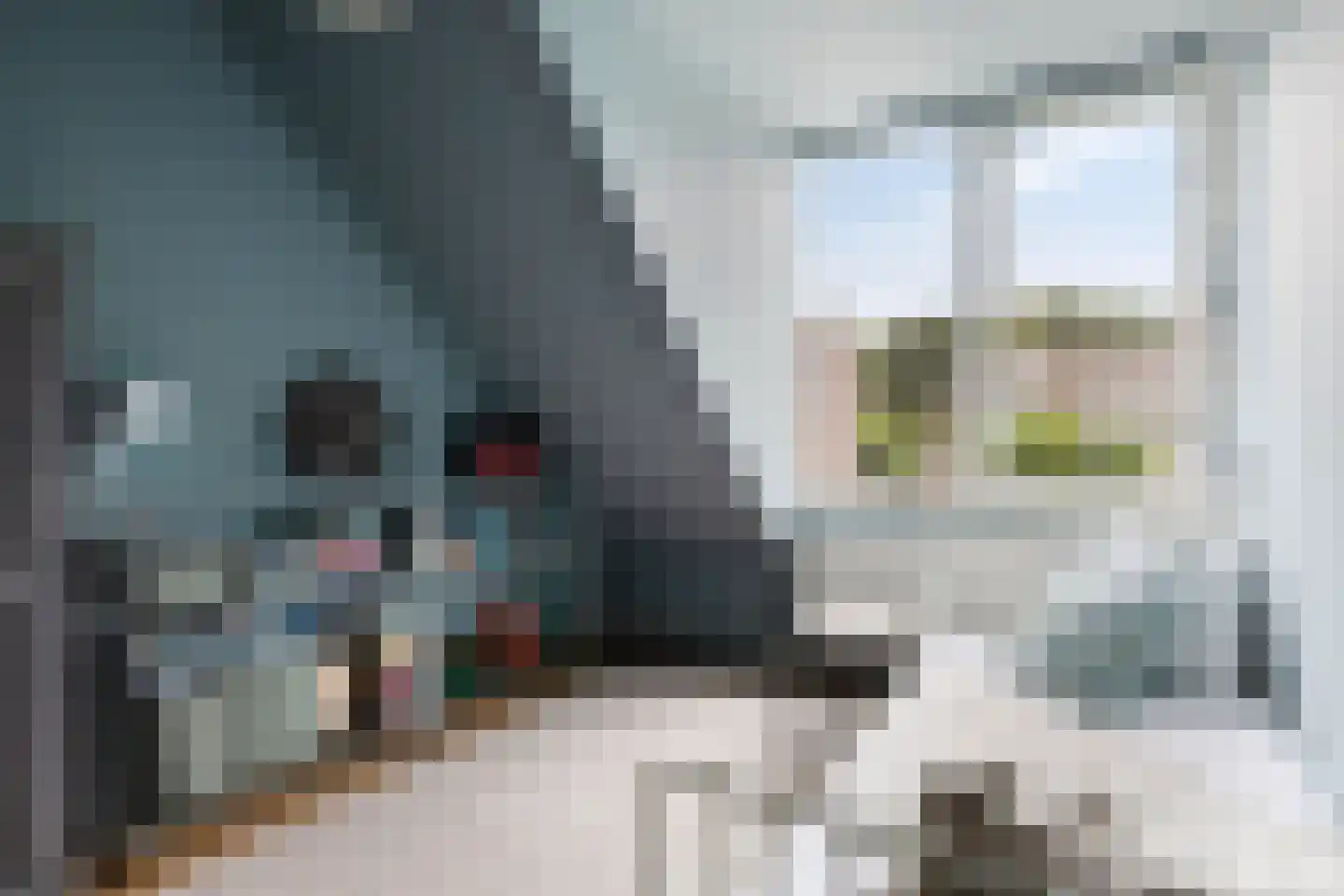 Roggenplaat 12 Zierikzee thumbnail 14