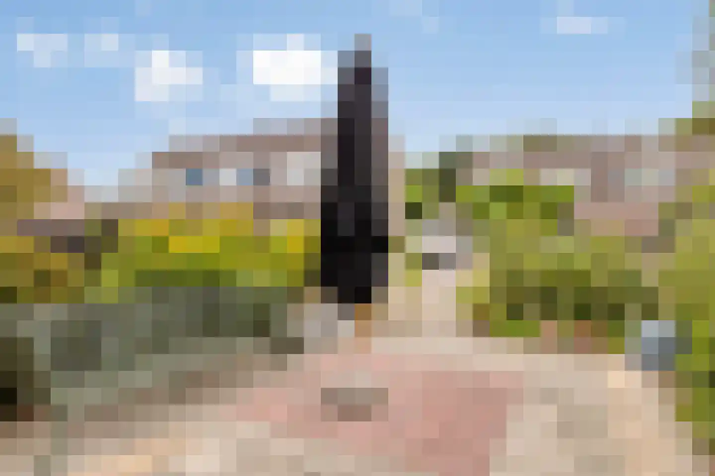 Roggenplaat 12 Zierikzee thumbnail 24
