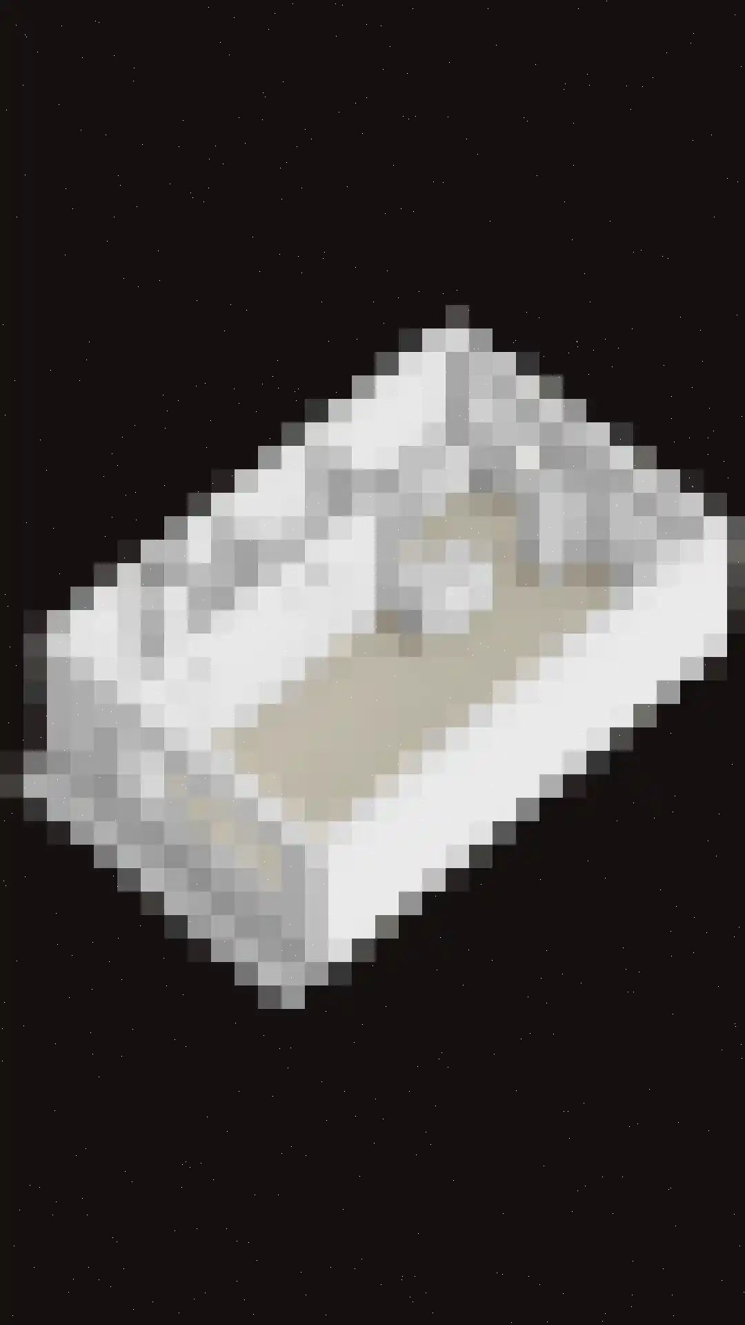 Roggenplaat 12 Zierikzee thumbnail 34