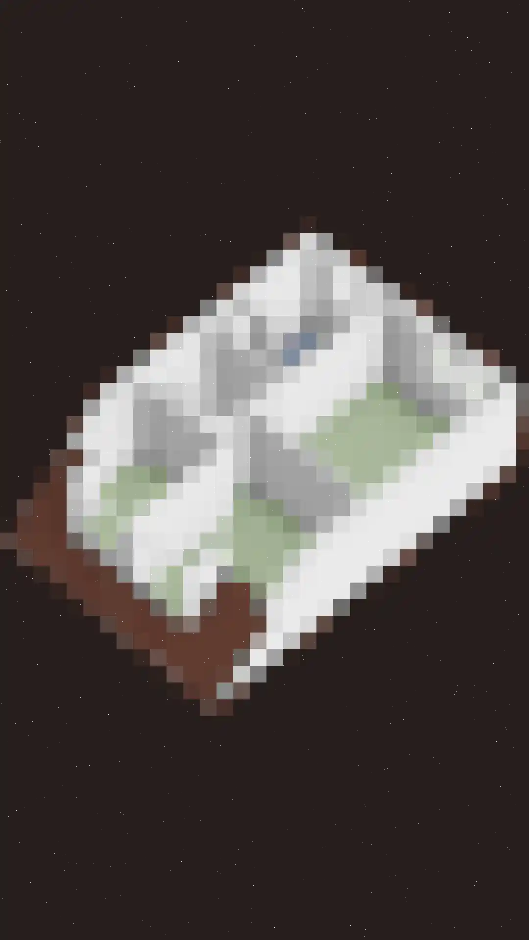 Roggenplaat 12 Zierikzee thumbnail 35