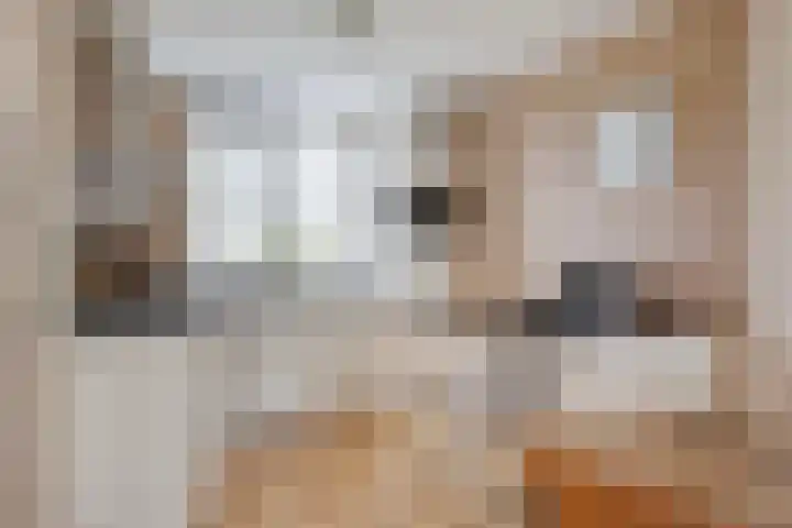 Roggenplaat 3 Zierikzee thumbnail 10