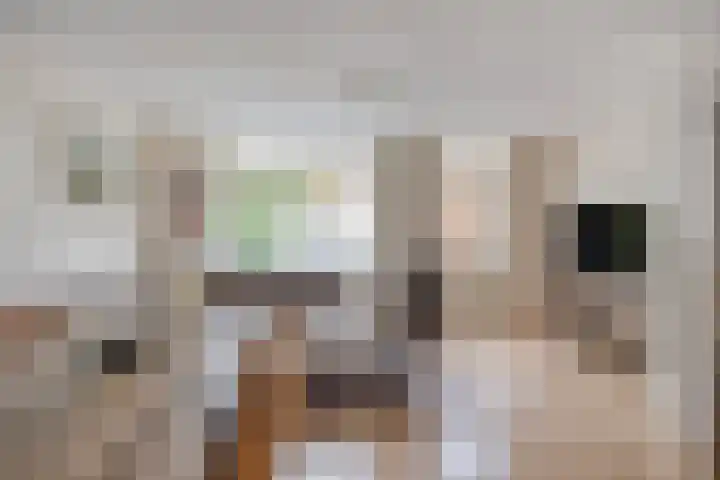 Roggenplaat 3 Zierikzee thumbnail 12