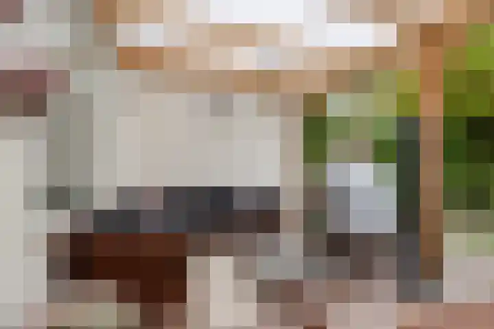 Roggenplaat 3 Zierikzee thumbnail 24