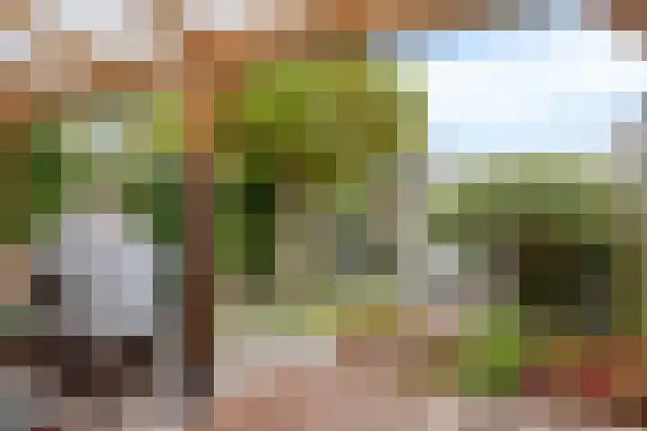Roggenplaat 3 Zierikzee thumbnail 25