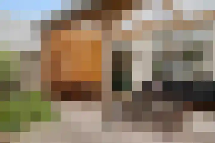 Roggenplaat 3 Zierikzee thumbnail 26