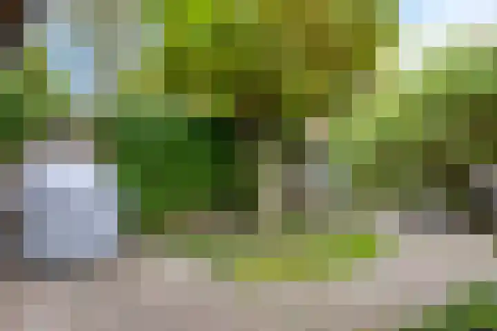Roggenplaat 3 Zierikzee thumbnail 27