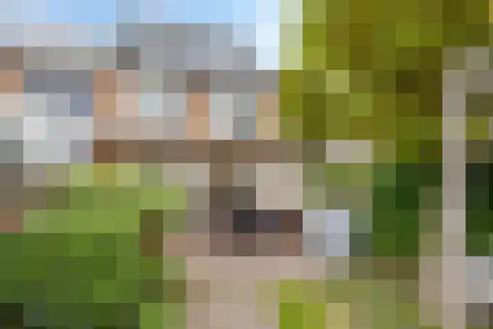 Roggenplaat 3 Zierikzee thumbnail 28