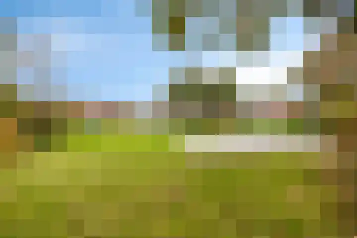 Roggenplaat 3 Zierikzee thumbnail 29