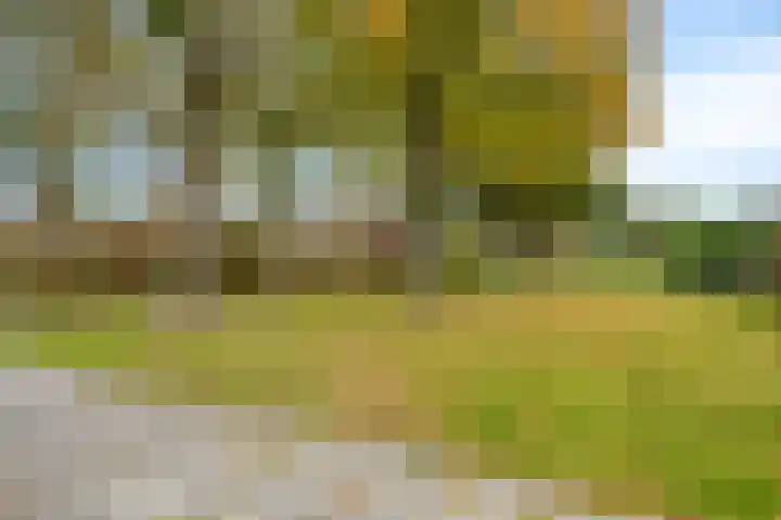 Roggenplaat 3 Zierikzee thumbnail 30