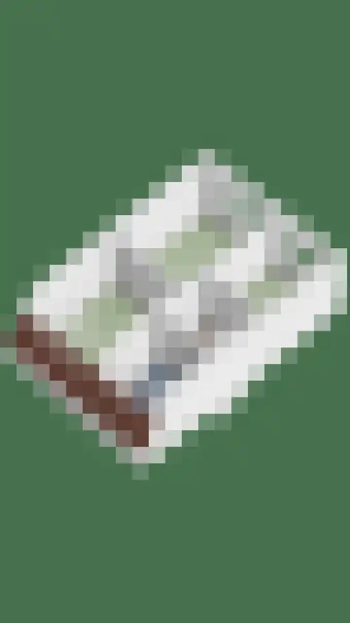 Roggenplaat 3 Zierikzee thumbnail 34