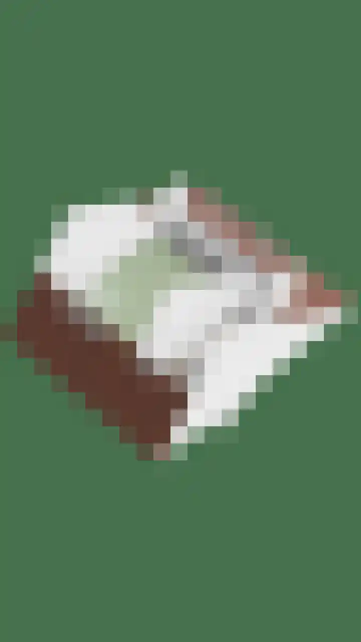 Roggenplaat 3 Zierikzee thumbnail 36