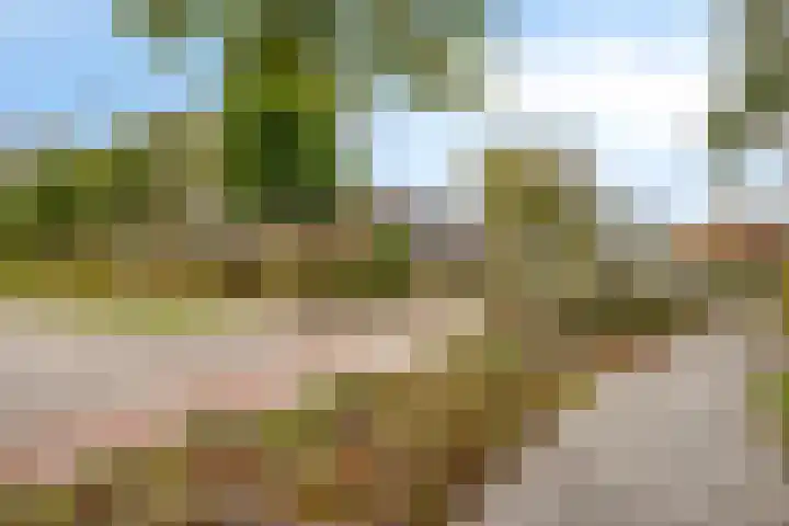 Roggenplaat 3 Zierikzee thumbnail 5