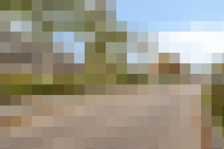 Roggenplaat 3 Zierikzee thumbnail 6