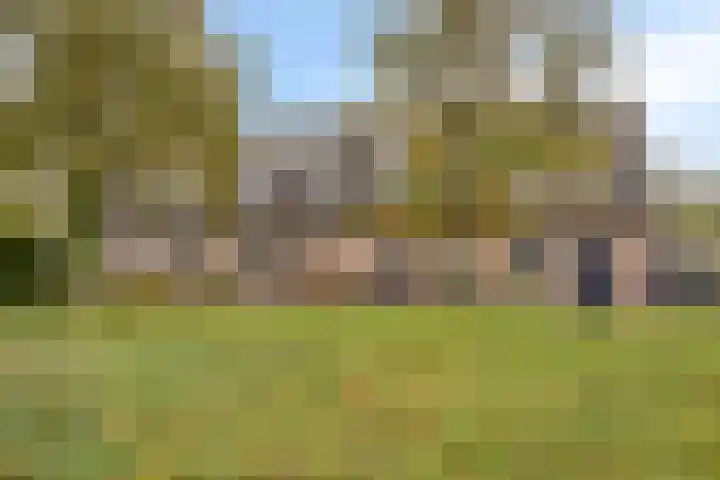 Roggenplaat 3 Zierikzee thumbnail 7