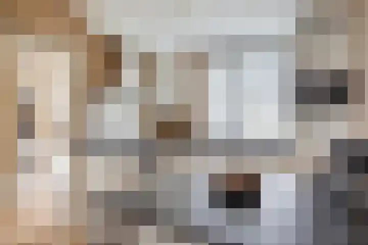Roggenplaat 3 Zierikzee thumbnail 9