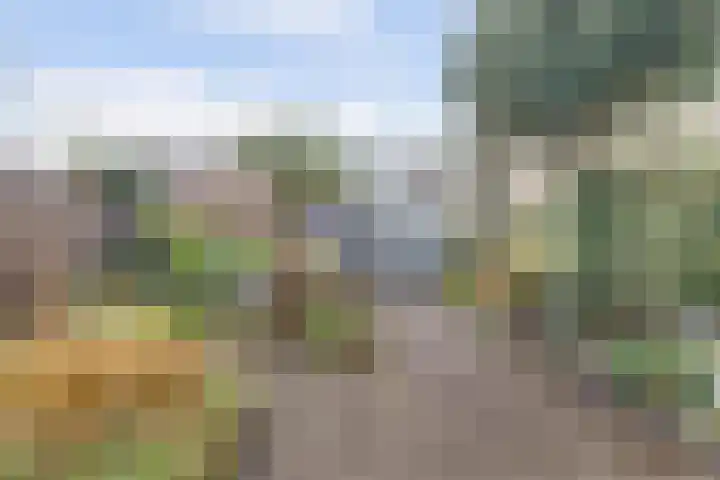 Roggenplaat 45 Zierikzee thumbnail 25