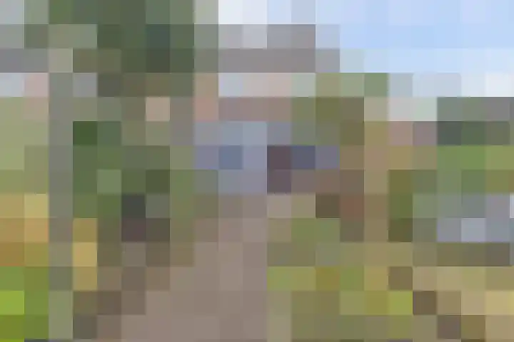 Roggenplaat 45 Zierikzee thumbnail 27