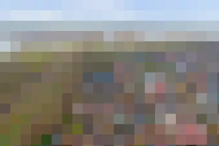 Roggenplaat 45 Zierikzee thumbnail 30