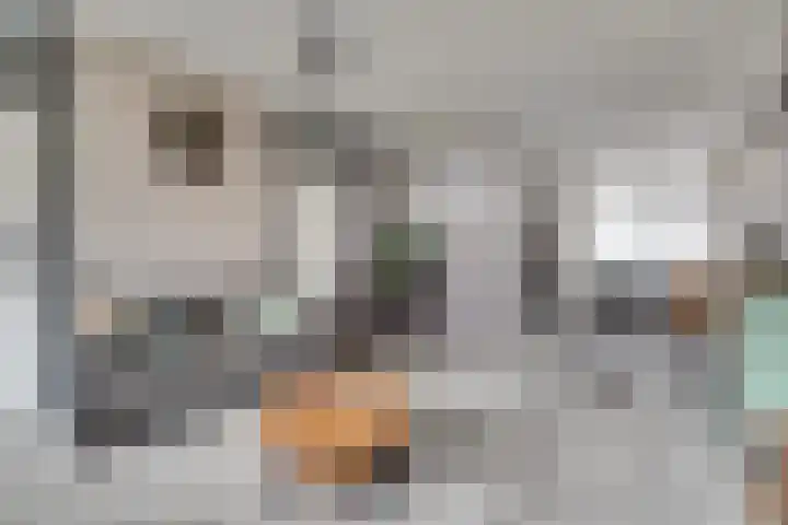 Roggenplaat 45 Zierikzee thumbnail 6