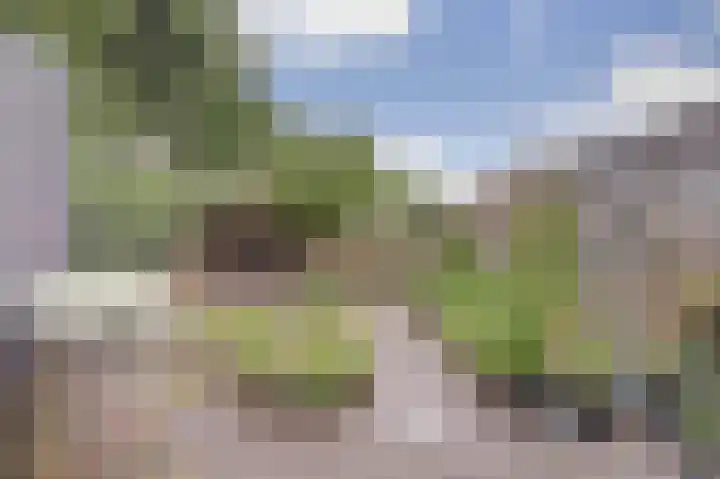 Roggenplaat 53 Zierikzee thumbnail 23