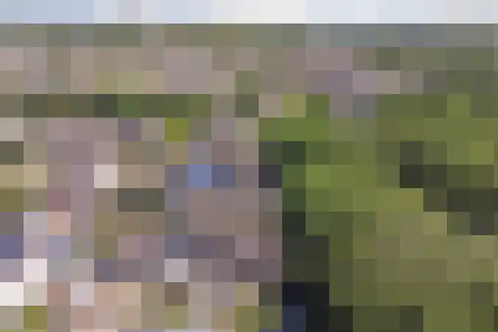 Roggenplaat 53 Zierikzee thumbnail 29